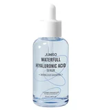 Waterfull Hyaluronic Acid Serum 50ml