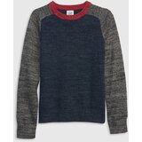 GAP Kids Sweater Raglan Sleeves - Boys | ePonuda.com
