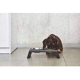 MiaCara kovinski komplet posod s podstavkom za pse desco black s | Shoptok.si
