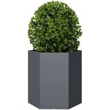  Vrtna sadilica antracit šesterokutna 46x40x45 cm čelična | shoptok.hr