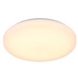  LED stropno svetlo sa prigušiva i glasovnim upravljanjem OPAL LED/48W/230V + daljinski upravljač | Eponuda.com