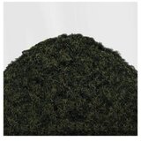 Green Stuff World static grass dark green marsh | statička trava 4–6mm tamno zelena močvarna 200ml | Eponuda.com