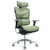 BEMONDI Ergonomic office chair ERGO 700 green BEMONDI Ergonomic office chair ERGO 700 green Slike