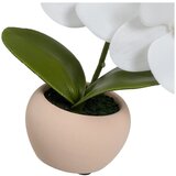 Casa Selección Umetne rastline v kompletu 3 ks (višina 15 cm) Orchid – | Shoptok.si