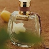 Chloé Nomade Jasmin Naturel Intense parfemska voda 30 ml za žene | shoptok.hr