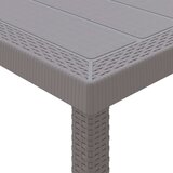 Vanjski Vrtna miza Svetlo siva 200x100x73 cm Poli ratan, (22008705) | Shoptok.si