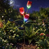  LED RGB solarna dekorativna svetiljka 3xLED/3,7V 200 mAh IP44 tulipán | Eponuda.com