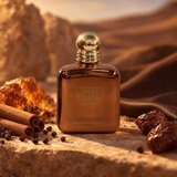 Armani (Giorgio Armani) Stronger With You Spices parfemska voda za muškarce 100 ml | shoptok.hr