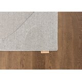 Agnella Svijetlo sivi vunen tepih 200x300 cm Morphic Botanica – | shoptok.hr