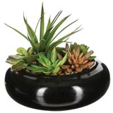 Atmosphera Proizvod sa nedostatkom - OUTLET - dekorativna biljka 16x15x17,5cm pe/kamen/pesak vise boja ( 150752181 ) u