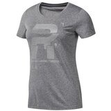 Reebok SS Reflective Tee Siva Cijene