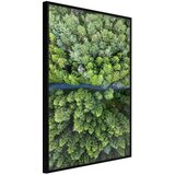  Poster - Forest from a Bird's Eye View 30x45 | shoptok.hr