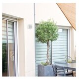 Rabalux zidna lampa Balimo | Eponuda.com