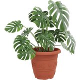  Okrugla saksija za cveće 6 pcs Crvena cigla Ø 34 x 28 cm | shoptok.hr