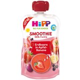 Hipp BIO SMOOTHIE RD. SADEŽI 120ML 2023 | Shoptok.si