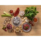 Gorenje Seckalica S 450 XE | ePonuda.com