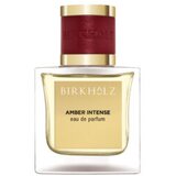 Birkholz amber intense eau de parfum 100ml | Eponuda.ba