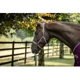 Oglavka Dublin, Blackberry - Pony