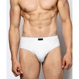 Atlantic 3-PACK Men´s briefs white/gray/graphite Cene
