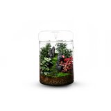  Luji Glass Cup MY-120H - 1 k. Cene