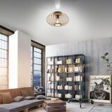 LEUCHTEN DIREKT 11410-79 - Plafonski luster RACOON 1xE27/40W/230V prečnik 40 cm | Eponuda.com