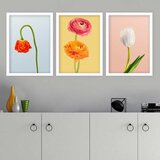 Wallity Set uramljenih slika 3BC_41955467, 3 Dela | ePonuda.com