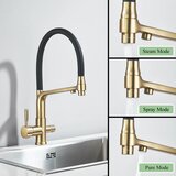 SAFLIHCAR Kuhinjski pipa z dvema izlivoma, krmiljenje z ročico, vroča in hladna voda, brušeno zlat, (5000140090) | Shoptok.si