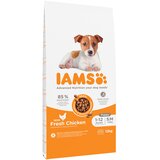 10 + 2 gratis! IAMS suha pasja hrana 12 kg - Advanced Nutrition Puppy Small / Medium Breed s piščancem | shoptok.hr