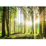  Foto tapeta - Forest Tales 100x70 Vodootporna | shoptok.hr