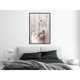  Poster - Piercing Look 20x30 | shoptok.hr