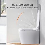 PIPISHELL WC deska z mehkim zapiranjem O-oblike | Shoptok.si