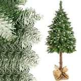  2v1 božično drevo jelka na deblu 180cm s snegom AKCIJA