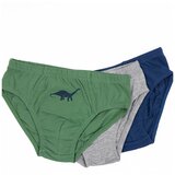 Lucky Kiddo spodnje hlače slip 3 kosi LK-BS1 223 020652 F modra 134/140 Cene