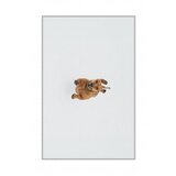 Conceptum Hypnose tepih (180x280) WOOKECE086 | ePonuda.com