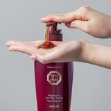 DAENG GI MEO RI Oily scalp Shampoo šampon za dubinsko čišćenje masnog vlasišta 500 ml | shoptok.hr