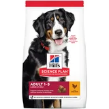 Hill's™ Science Plan™ Pas Adult Large Breed, 14 kg