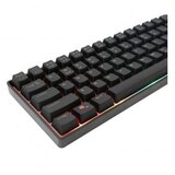 White Shark TIPKOVNICA GK-001114 GLADIUS / US, (21371171) | Shoptok.si