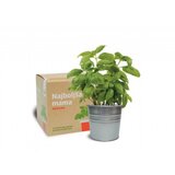 URBANSCAPE darilni komplet najboljša mama | Shoptok.si