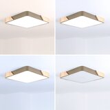 Brilagi LED prigušiva svetiljka PILANA SQUARE LED/48W/230V hrast/bež 42x42 cm + sa daljinskim upravljačem | Eponuda.com