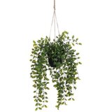 Dekordom 1097781 Cvet u saksiji ficus 46cm - green - edl ( 040441 ) Cene