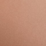 Clairefontaine kartoni Maya light brown A4/270gr 1/25 | shoptok.hr