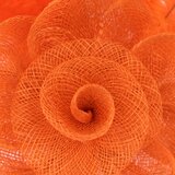 Art of Polo Woman's Fascinator cz22175 | Shoptok.si