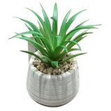 Dekordom cvet u saksiji - succulent round 456 - N44 cene