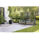 Keter Visoka greda Deco – | Shoptok.si