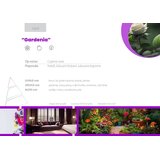 Select Aroma Gardenia (mirisno ulje 100ml) | shoptok.hr