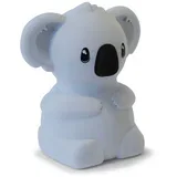 piggybank koala 15cm
