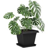  Saksije za biljke 24 pcs Crna 38 x 38 x 30 cm Plastika | shoptok.hr