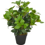 vidaXL Umetna rastlina lovorovo drevo z loncem zelena 40 cm Cene