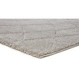 Universal Svijetlo sivi tepih 60x120 cm Molier – | shoptok.hr