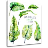  Slike na platnu sa tekstom Palm tropical leaves (moderne slike) Cijene